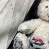 [USED] CELINE Teddy Bear, White, Macadam