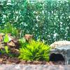 False Lawn Grass for Reptiles Habitats Artificial Plant for Reptiles Enclosures Flexible and Safe Decoration