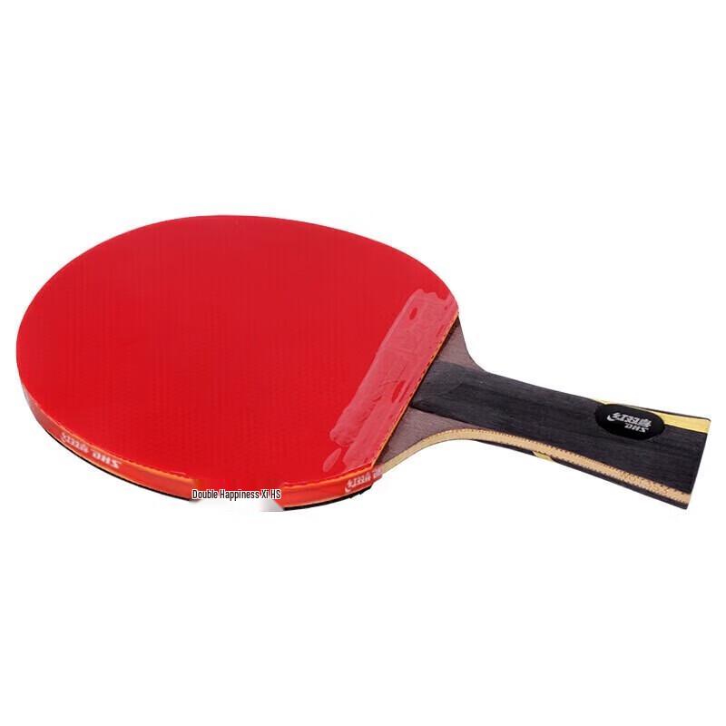 DHS Hurricane Wang Liqin Table Tennis Racket Gift Set