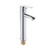 Minxi Stainless Steel Single Cold Basin Faucet