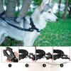 Leash Tactical Dog Collar, Military Adjustable Durable Training Nylon Shepard Metal Buckle Pet Large Dog Harness Set Pet Dog