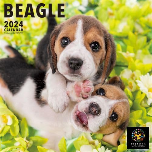 

[С бонусом] Календарь Beagle PICTWAN 2024 DOG [версия L] 24CL-50002L