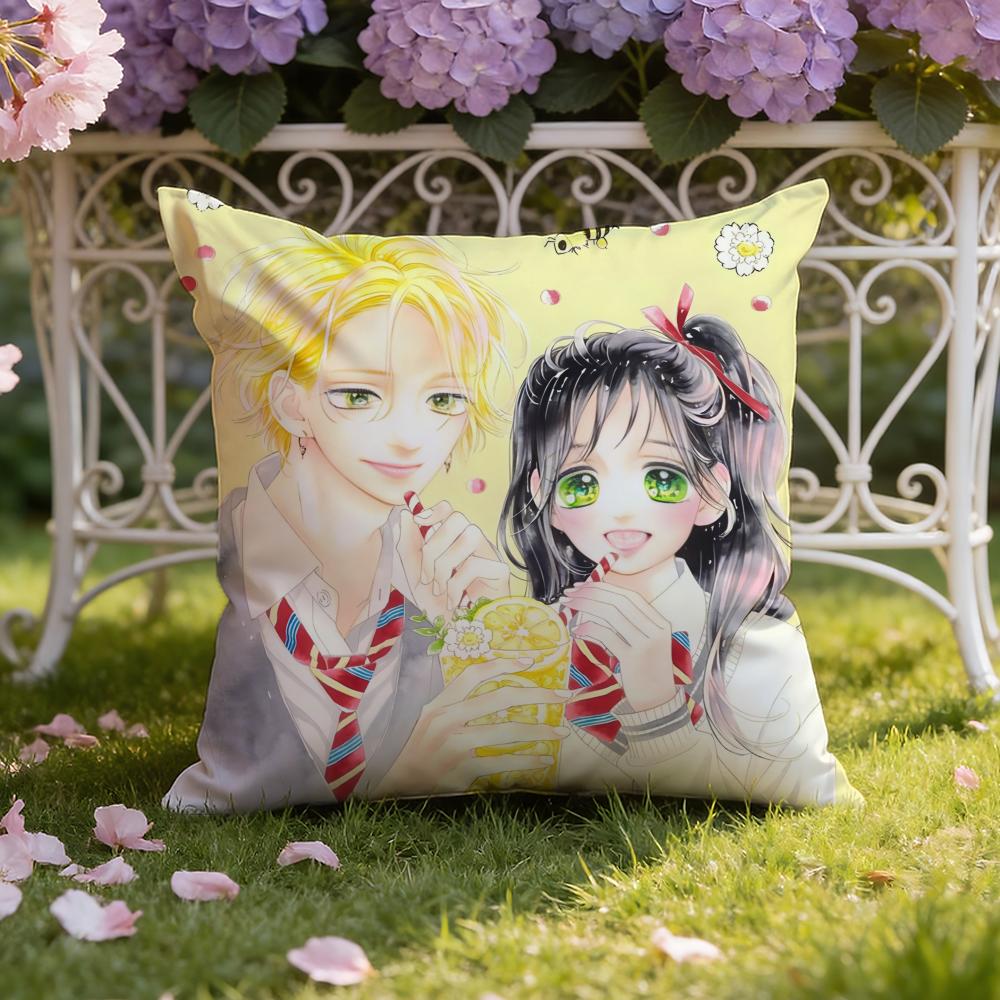 H-Honey L-Lemon Soda Cushion Cover Home & Car Dual-Scene Pillow Cover: Reversible for Premium Comfort