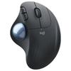 Periferice pentru calculatoare – Mouse-uri