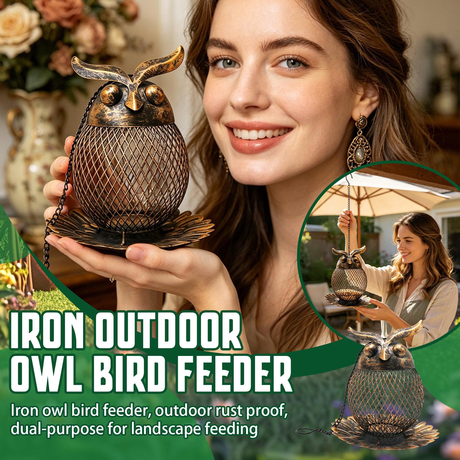 

Outdoor Wrought Iron Hanging Bird Feeder For Balconies, -Resistant, Large Capacity Food Storage, Garden And Patio Decoration, Bird Feeding. One Size