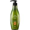 Ziyuan Ginger & Sapindus Oil Control Shampoo