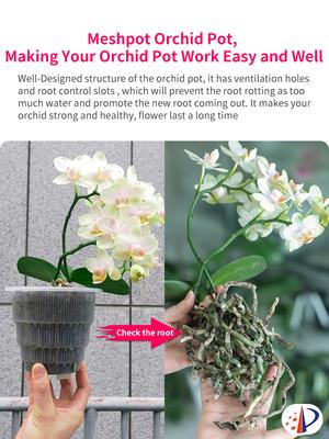 Meshpot Home Decoration Clear Orchid Pots with Holes Cattleya Dendrobium Orchid Plants Pot Cachepot In 10cm 12cm 15cm