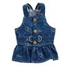 Pet Couple Clothing Denim Small Dog Dog Clothing Traction Skirt Spring Autumn Summer