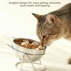 Fall-Resistant Cat Bowl With Stand Stainless Steel Stainless Steel Cat Bowl Pet Water Bowl  For Pet