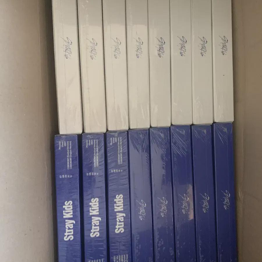 Straykids Karma Album