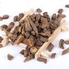 Dandelion Root Herbal Tea Pugongying 100% Natural Chinese Bulk