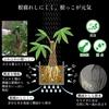 Leaf88 Nonwoven 34 Gallon diameter x 45cm Pack of 3 Planter, (60cm height),