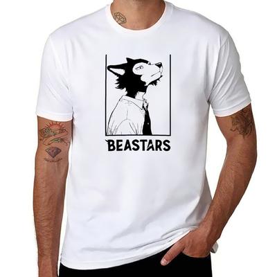 Üst giysisi – T-shirtler