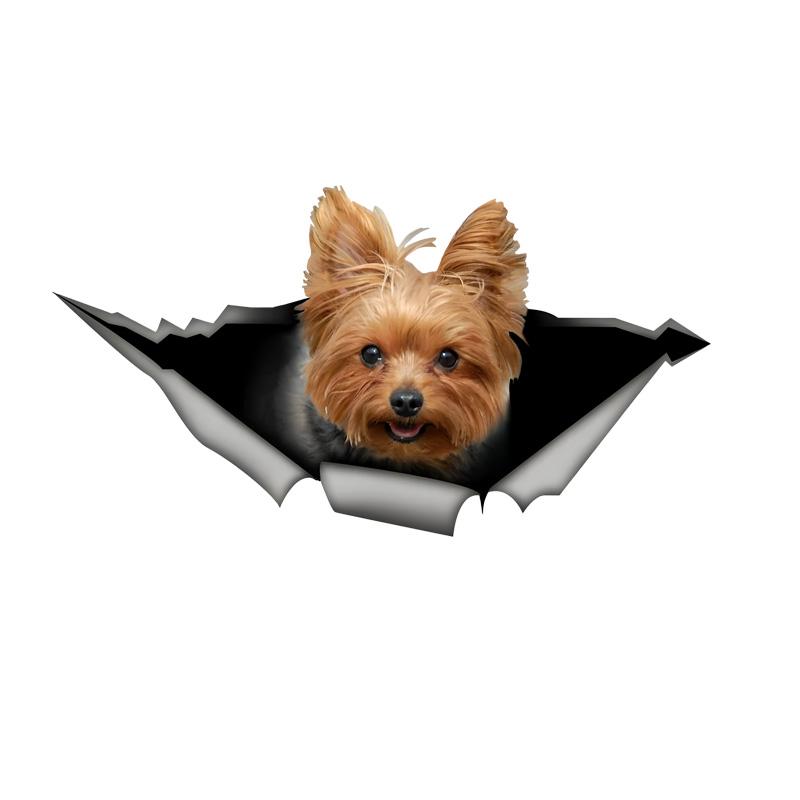

Cute Yorkshire Terrier Car Decals Bumper Window Animal Stickers Car Accessories Waterproof Vinyl Material 24cm-Longest Side