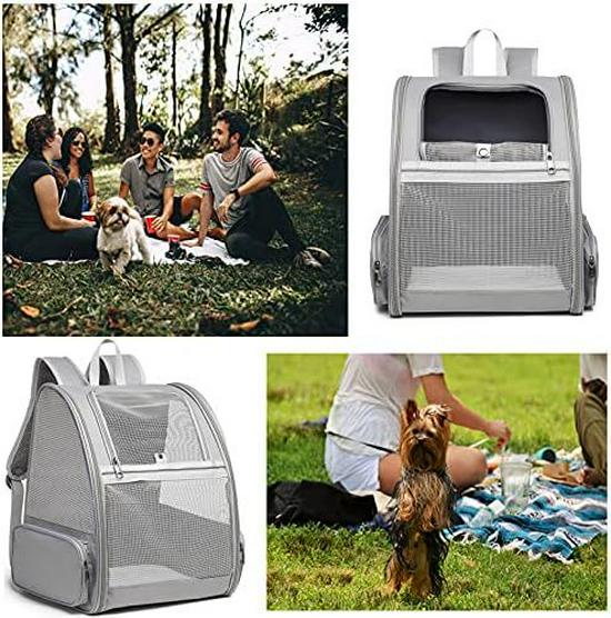 Portable Cross-Border Cat Backpack: Breathable, Foldable Outdoor Pet Bag