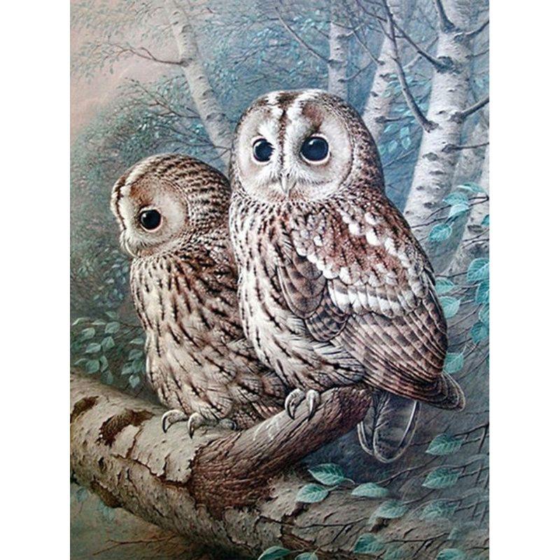 

Алмазная мозаика, полная круглая Сова, стразы, художественная алмазная живопись с изображением животных, мультяшное украшение для вышивки крестом для дома Full Round 40x50CM
