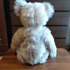 [USED] Teddy Bear / Steiff Teddy Rose Replica 1926