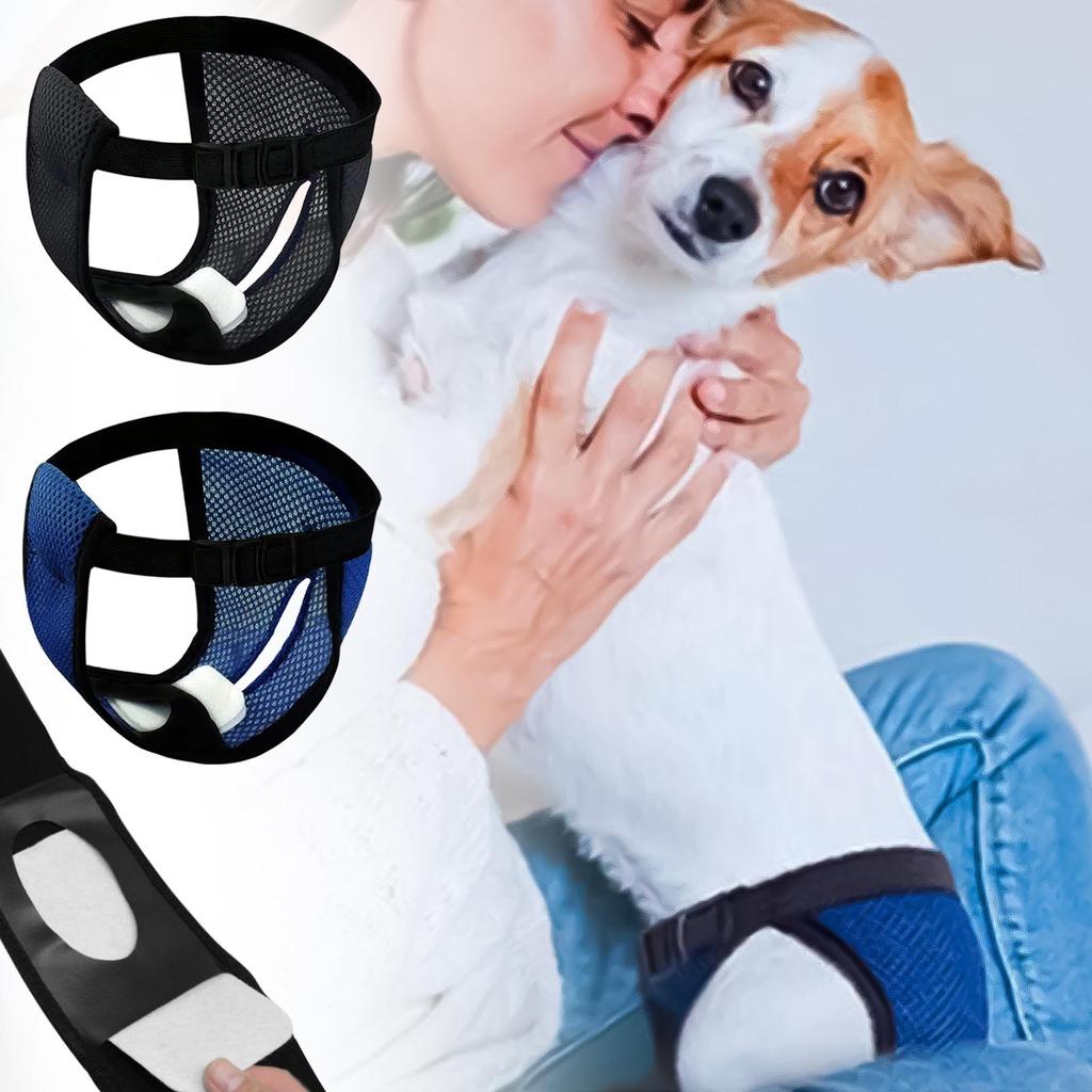 Reusable Diaper Belt 3 Replacement Diapers Breathable Mesh Washable Menstrual Diaper Suitable For