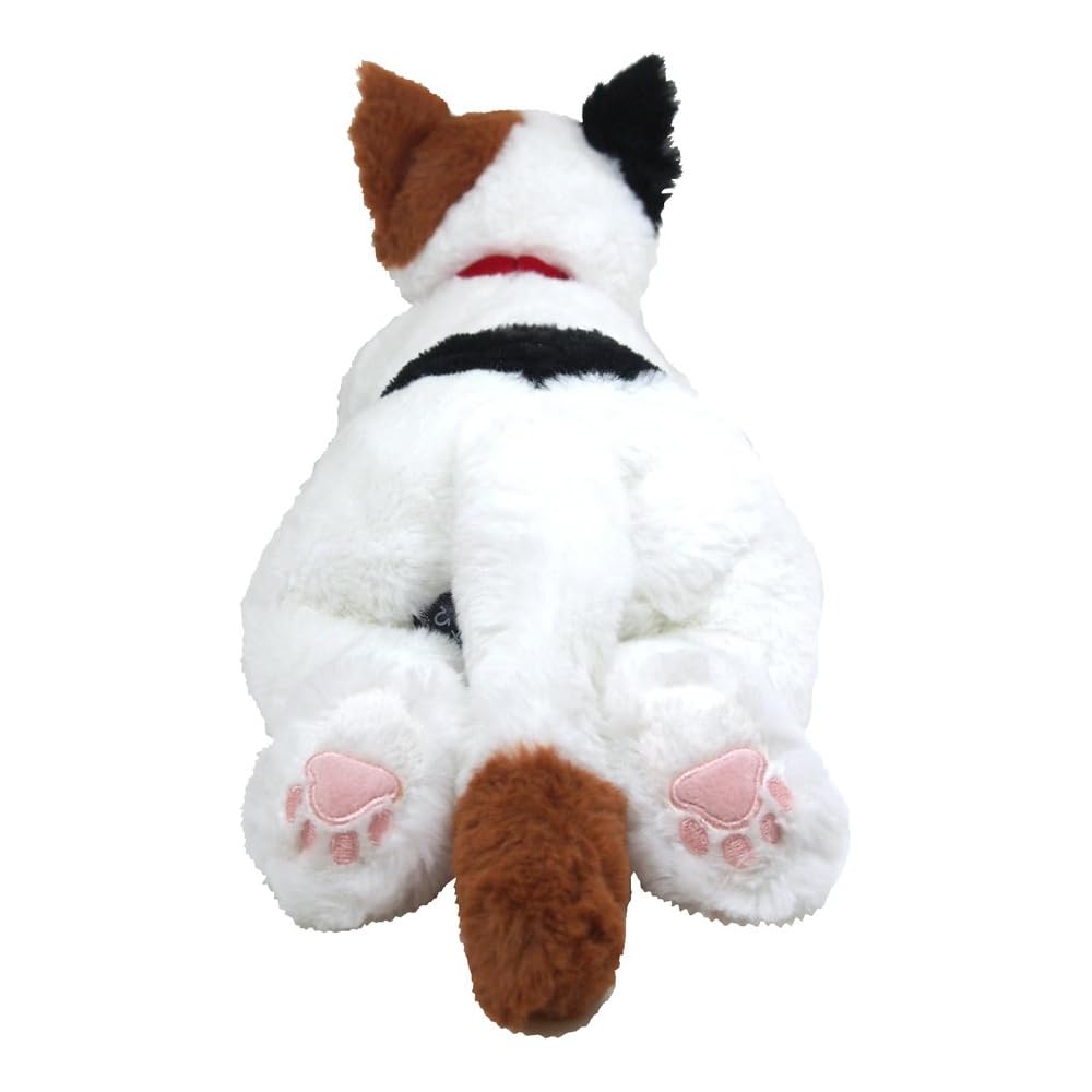 Sun Lemon Knee Cat Plush Toy M Size Calico P-2122