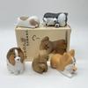 New Products In Stock Are Angry Cute And Spoiled Angry Dog Blind Box Cute Tabletop Decoration Shiba Dog Corgi Festival Gift