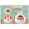 Decor Corporation Concombre Star Christmas Cake Size Approx. W4.4 D3.8 H4 ZXS-47949X