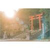 Kenko Soft Filter Nostal Tone Orange 72mm for Soft Effect and Color Enhancement, Made In Japan 006061
