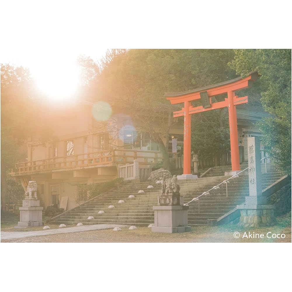 Kenko Soft Filter Nostal Tone Orange 72mm for Soft Effect and Color Enhancement, Made In Japan 006061