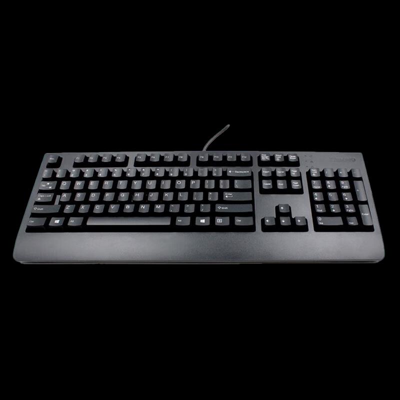 Lenovo KU1619 USB Wired Office Keyboard