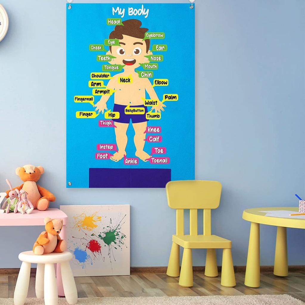 Kids' Felt Body Structure Puzzle Board With Organ Images