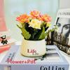 Artificial Rose Champagne Potted Plant Bonsai For Home Decor Tabletop Display