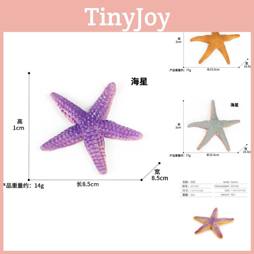 Realistický PVC model hvězdice Dekorativní mořské stvoření Plážová hračka Pro domácí dekoraci