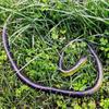 Children's Large Soft Rubber Green Snake Prank Toy Model