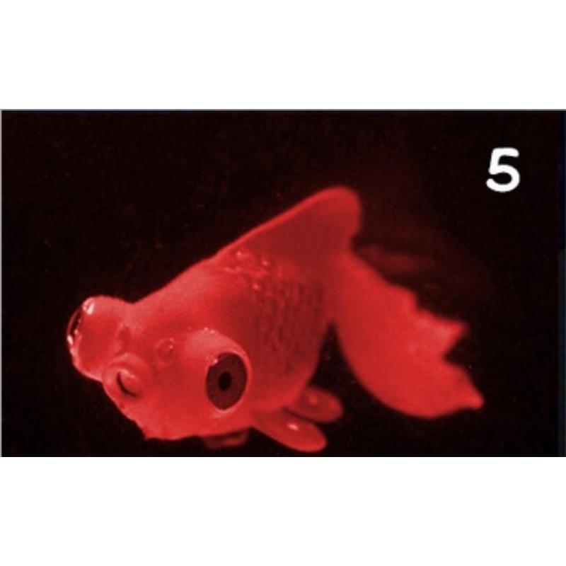 

1шт искусственный аквариумный декор светящийся эффект золотая рыбка аквариум украшение декор