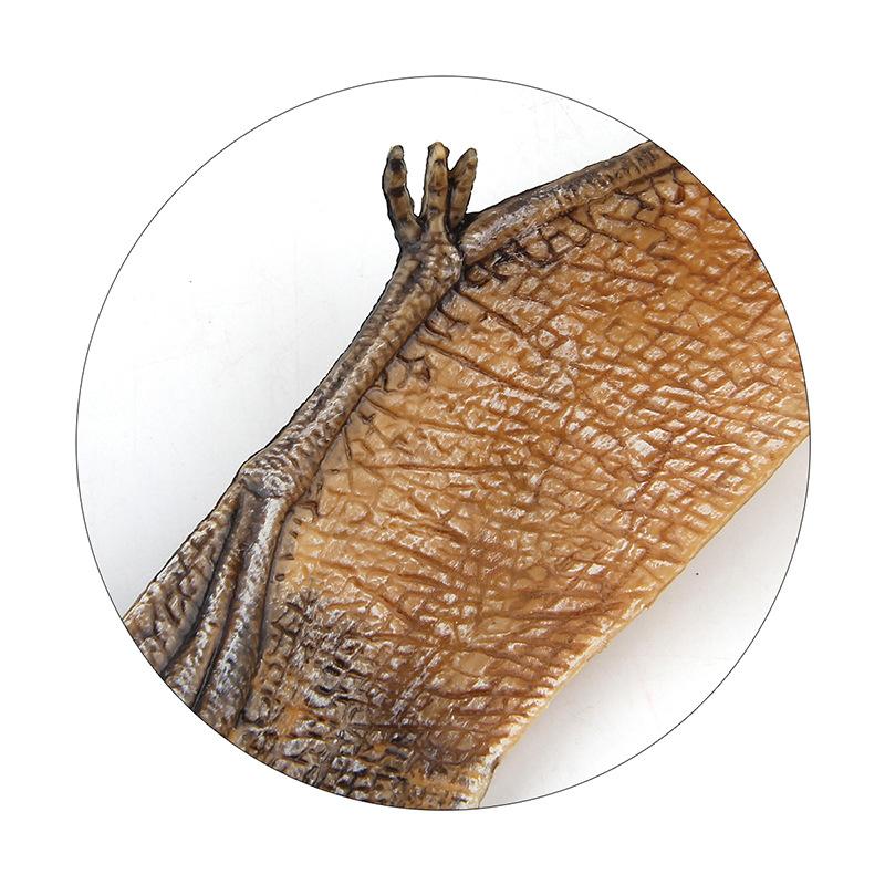 English Details Dinosaur World Figure Model Toy Pvc Solid Pterodactyl Pterodactyl Doll