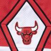 Mitchell & Ness Authentic Shorts Chicago Bulls ASHRCP19038-CBURED187