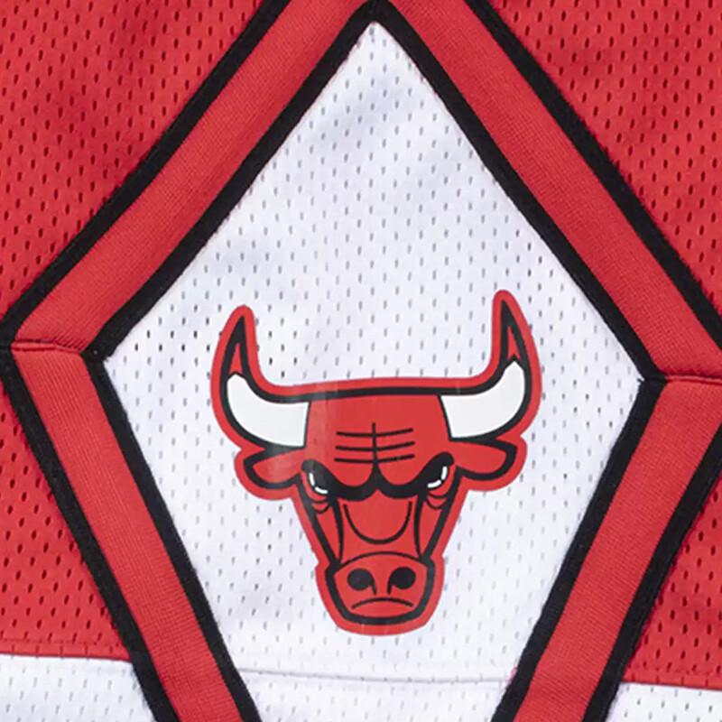 Mitchell & Ness Authentic Shorts Chicago Bulls ASHRCP19038-CBURED187