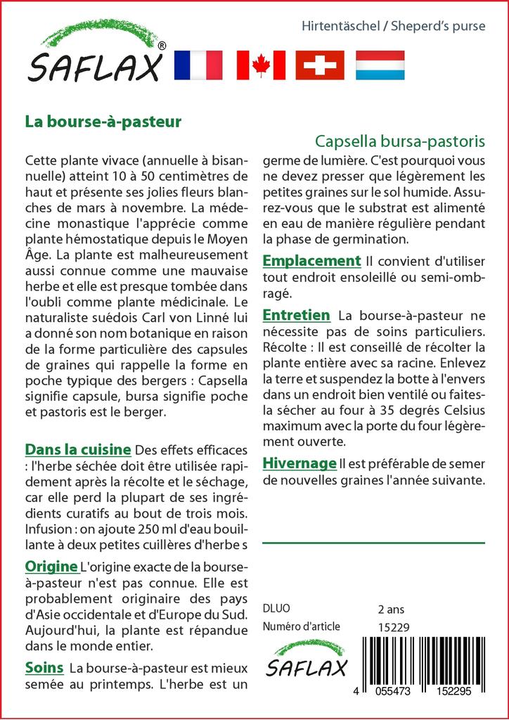 SAFLAX Garden In the Bag - Sheperd’s Purse - 1000 Seeds - With Substrate In a Fitting Stand Up Bag - Capsella Bursa-pastoris