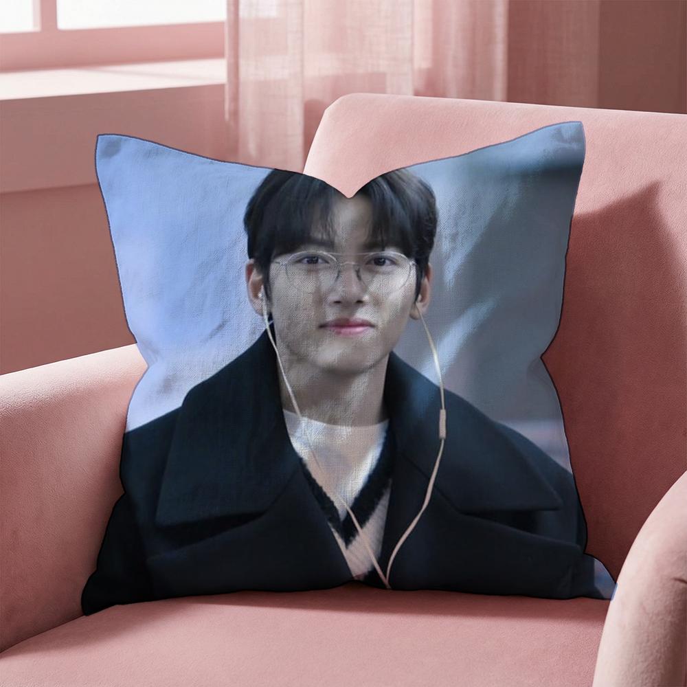 J-Ji C-Chang Wook Cushion Cover Multi-Scene Pillow Cover for Home & Car - Reversible, Soft & Durable for Daily Use