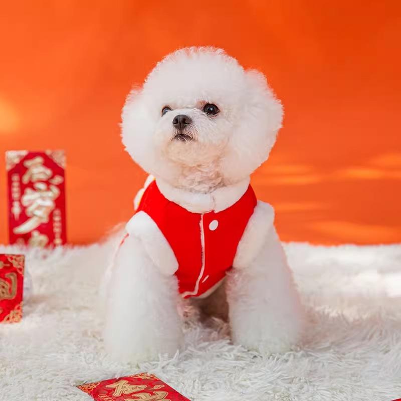 Dog Clothes New Year's Festive Little Tiger Tang Clothing Teddy Bear Small Dog New Year's Greetings Warm Two-legged Pet Clothing