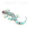 Phelsuma Pvc Replicas For Botanical Gardens And Nature Display Settings