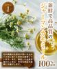 Shikisai Farm Organic Chamomile Tea Bags 1g×30 Caffeine-Free Domestic Tea