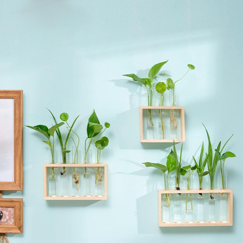 Small Fresh Hydroponic Green Vase Wooden Frame Vase Decorative Ornament Wall Mounted