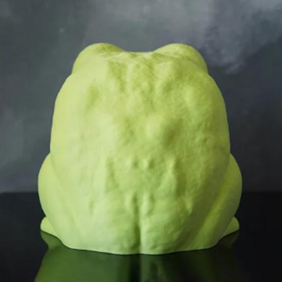 Žába Dávkovač toaletního papíru Zábavný Interaktivní Otevírací Bříško 3D Tisk Žába Krabička na kapesníky Nádoba na roli papíru Koupelnová dekorace