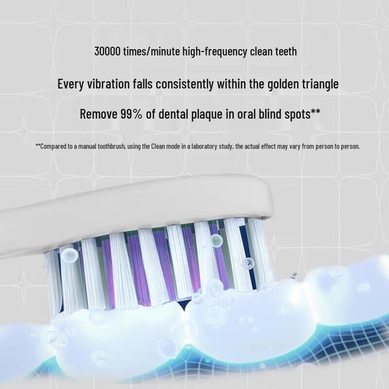 Philips SPA Sonic Electric Toothbrush HX2491/01 CN Plug (adapter Included)