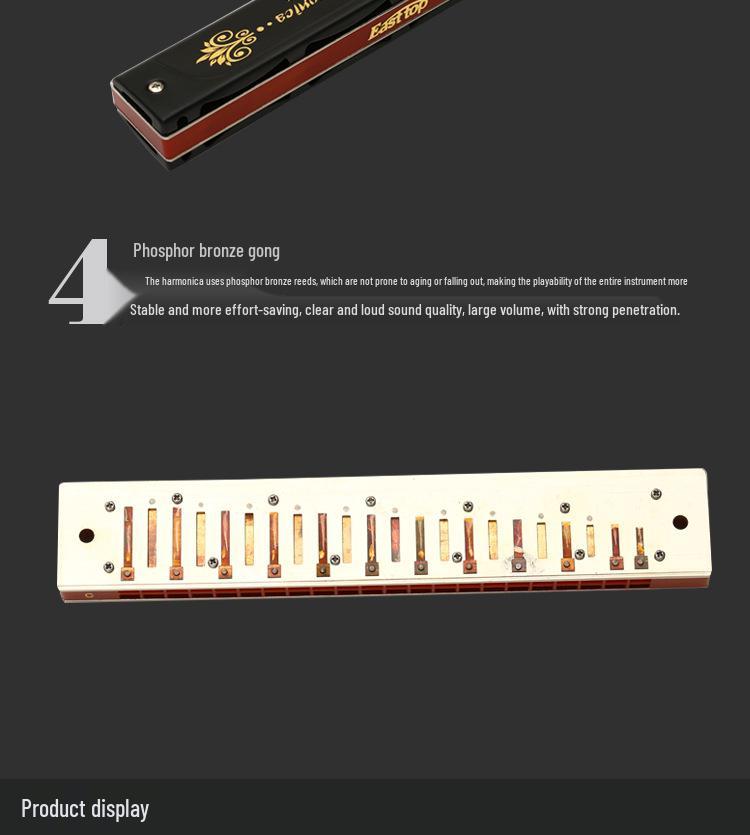 Dongfang's 22-Hole C Key Polyphonic Harmonica for Beginners and Adults