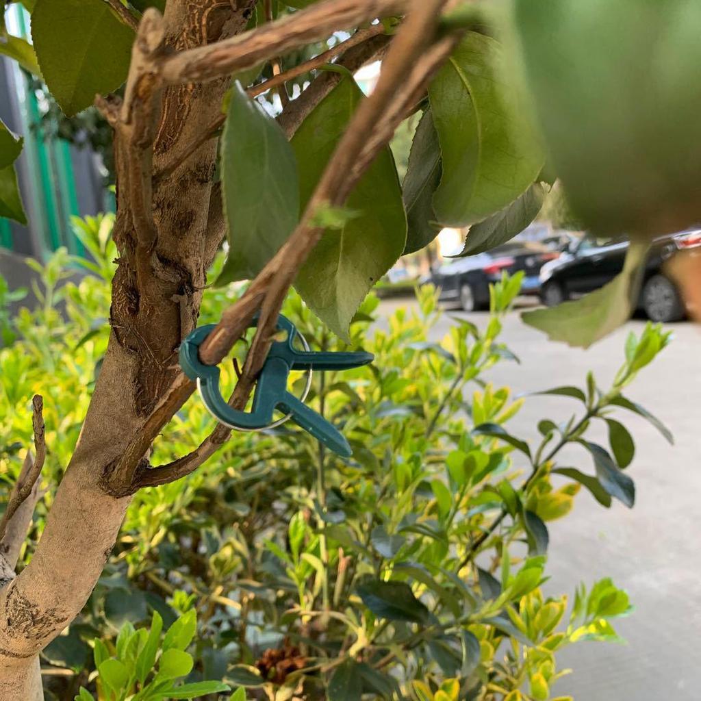 20 Horticulture Seedling Grafting and Pruning Clips for Flowers and Grasses [Various Sizes Available]