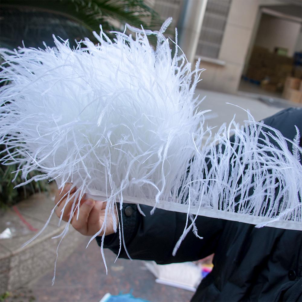 1M Natural Ostrich Feathers Trim White Clothing Sewing Ribbon 8-10cm Feather Fringe for Wedding Party Decoration Crafts Plumes