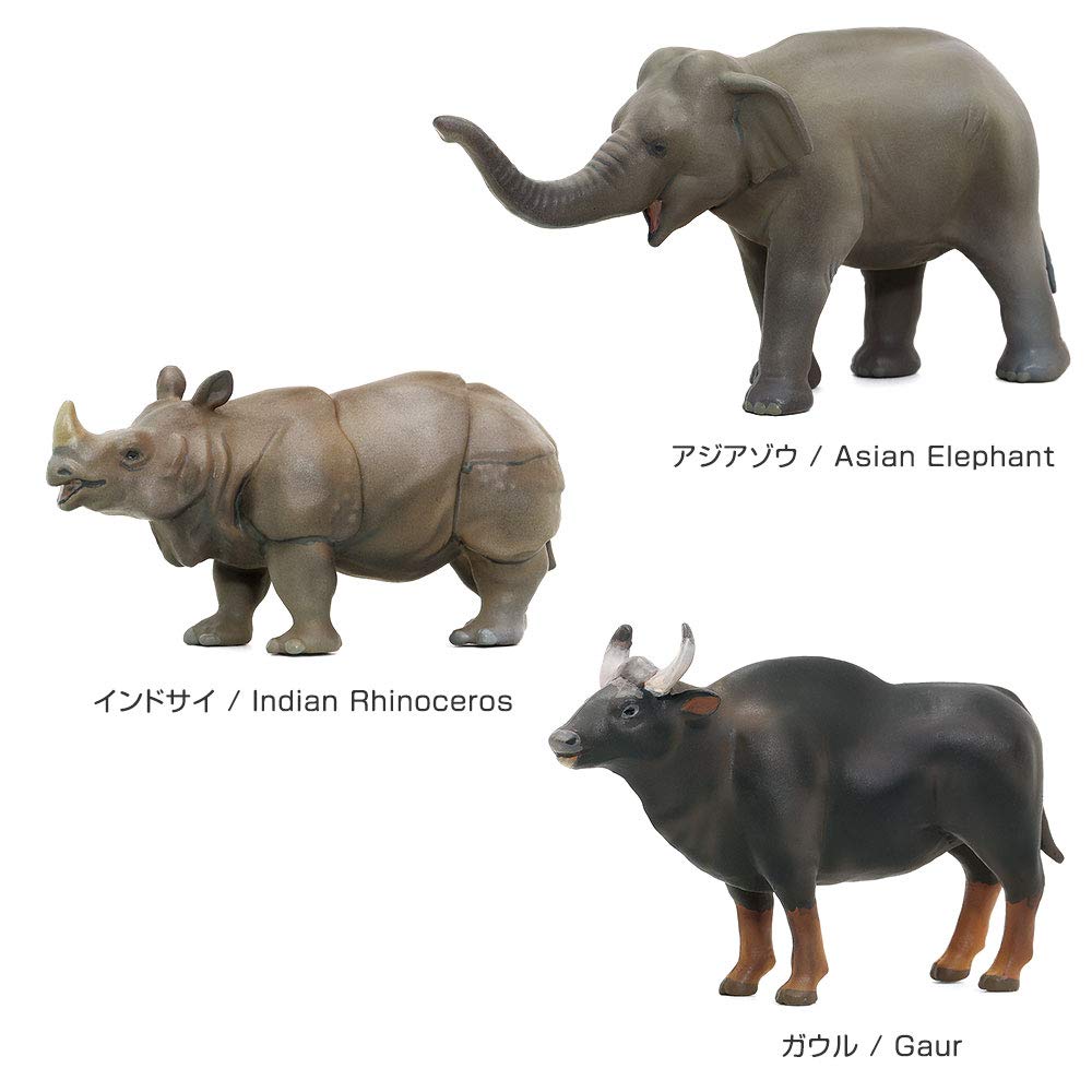 Colorata 3D Animal Encyclopedia Zoogeography Box Oriental Region Real Figure Set 12 Animals with Guide Book