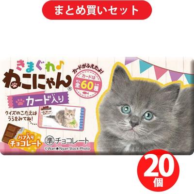 Shoei Delicy Whimsical Cat Cat 1 Piece X 20 Sets Chocolate