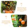25Pcs Hanging Paper Lanterns Exquisite Round Festival Decor for Outdoor Indoor Celebration Wedding Birthday Japanese Inspired